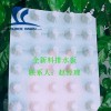 青岛厂家供应塑料排水板塑料排水板